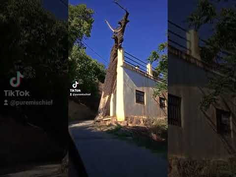 Spanish Road Trip With Mischief x