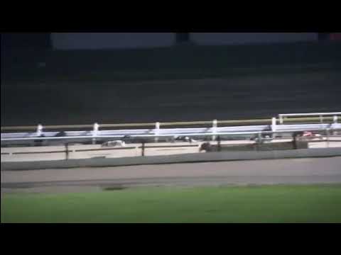 Elderberry Sky   BGBF British Bred Derby