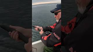 Download lagu Catching Huge Fish: Off a Small Boat: North Sea: Scotland 🎣 mp3