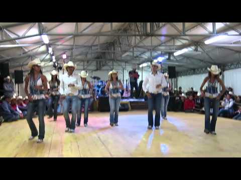 CONCURS FESTIVAL BELT 2015 - BUFFALO BELT