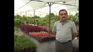 İşimin Uzmanıyım | KARADUMANLAR ÇİÇEKCİLİK ve PEYZAJ | Antalya - Alany