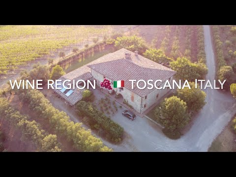 Drone Flight over wine yard Italy Tuscany | l'aria sopra i vigneti in toscana Italia | 2024
