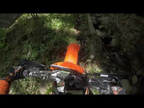 Arefu   Tura pe Rauri   Mai 2020