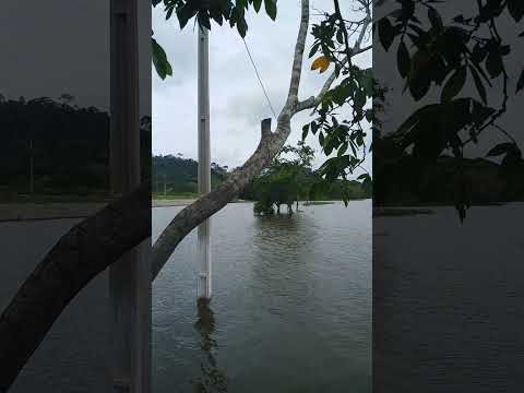 são  félix do xingu