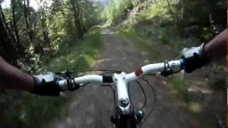 preview picture of video 'Altenau Downhill'