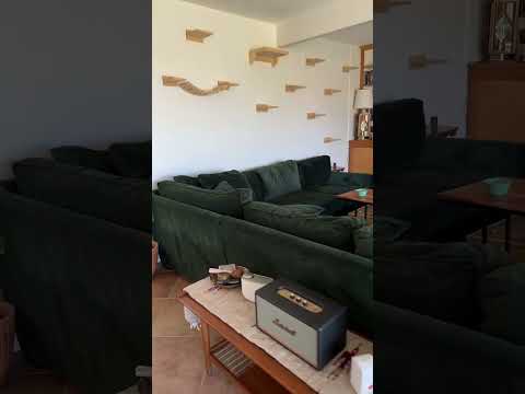 Aera home diffuser review