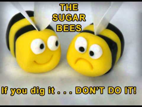 THE SUGAR BEES - (If You Dig It) Don't Do It - (1998) By Request!