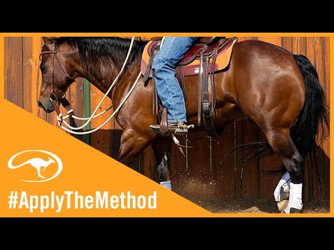 Practice Posting to Become a Better Rider