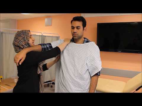 Lymphoreticular Examination