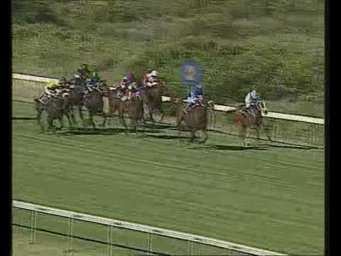 Sparkling Gem 2008 Avontuur Cape Fillies Guineas (Gr1)