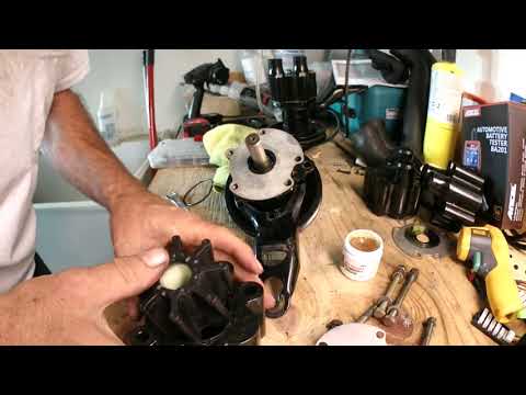 1989 Sea Ray 390 Express Raw Water Pump Rebuild