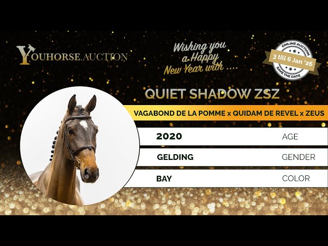 Quiet Shadow ZSZ