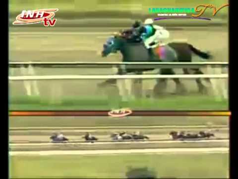 LA RINCONADA 11 CARRERA DOMINGO 30 DE NOVIEMBRE DEL 2014