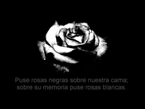 El amor desolado por Jorge Falcón