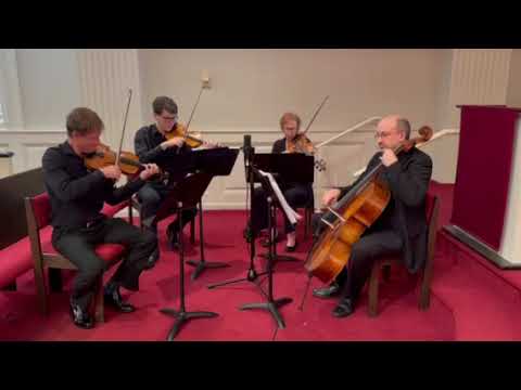 Promotional video thumbnail 2 for Seiler Strings
