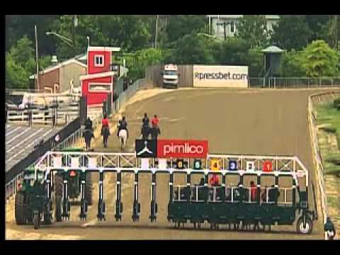 Pimlico 05/21/15 race 8