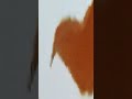 ANGRY PBS KiDS DOT LoGO In U Major 7 Q Major
