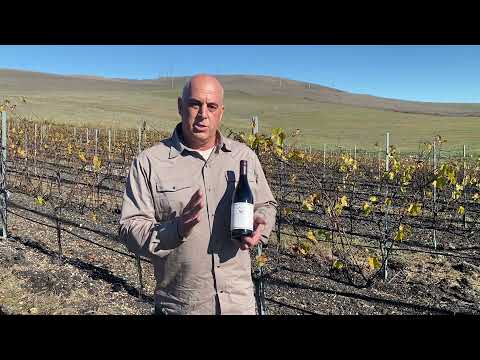 Qupé Central Coast Syrah