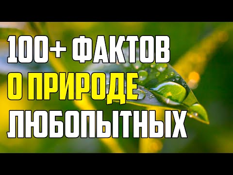 , title : '100+ ЛЮБОПЫТНЫХ ФАКТОВ О ПРИРОДЕ'