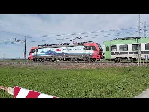 Passaggio a livello di strada Mirabella - Vignale (con MEGA STROMBAZZATA)