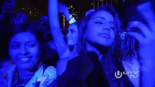 AVICII - True Believer UMF (2015) | #aviciiforever #aviciimusic #aviciitribute #avicii #tributetotim