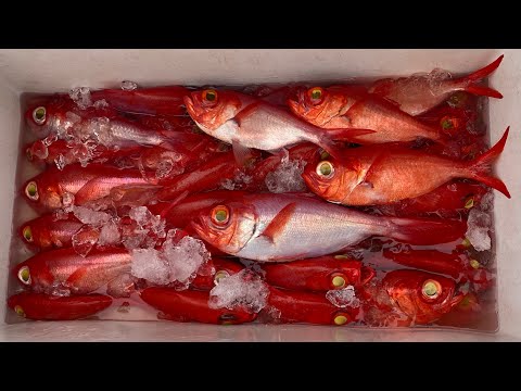 三宅島の漁師さんに密着してみた