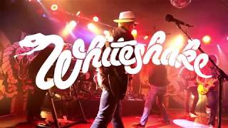 WHITESHAKE - Sweet Talker (Whitesnake Tribute Band)
