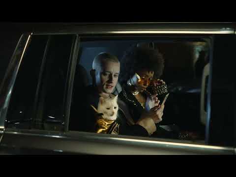 TEMPTATIONS™ CATS LOSE THEIR COOL™: Fashion Cat