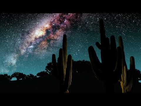 Desert Night Ambience - Cicadas Chirp Under The Milky Way - 9 Hours - 4K