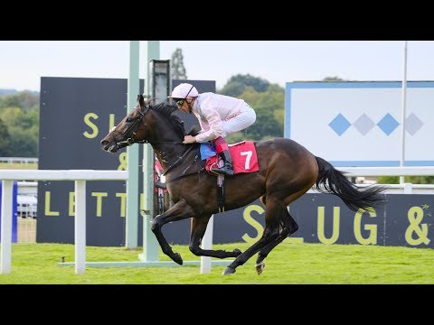 Flat Season Promo 2019