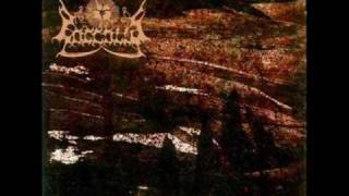 Poccolus - Kirsk, Medeine, Kirsk