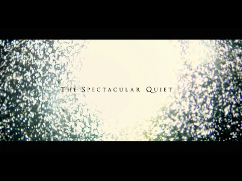 Lights & Motion - The Spectacular Quiet