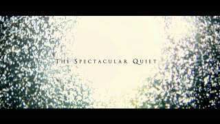 Lights & Motion - The Spectacular Quiet