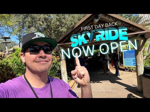 SKYRIDE IS OPEN AT BUSCH GARDENS TAMPA - First Day Back + MARDI GRAS 2024 Food & Drink Festival Tour
