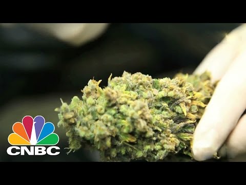 How to get rich off Cannabis-CNBC Special