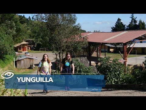 download lagu mp3 mp4 Yunguilla Ecuador, download lagu Yunguilla Ecuador gratis, unduh video klip Yunguilla Ecuador