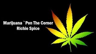 Richie Spice ~ Marijuana Pon The Corner (LIve with lyrics/c.c.)
