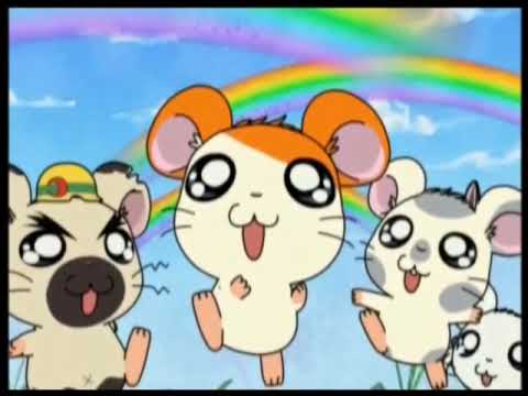 Hamtaro Hai Episode 52 - Looking for the Rainbow - English