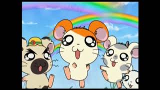 Download lagu Hamtaro Hai Episode 52 - Mencari Pelangi - Bahasa Indonesia mp3