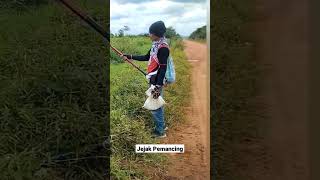 Download lagu mancing gabus pakai Tegek#shorts mp3 Download lagu mancing gabus pakai Tegek#shorts mp3