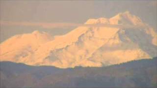 Orthodoxy or Evolution