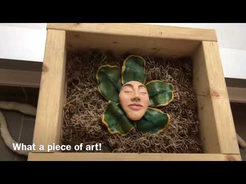 マウントアリソン大学について詳しく解説