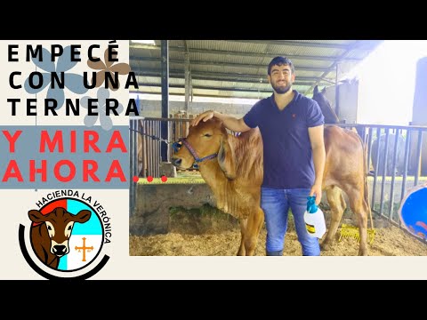 EMPECÉ CON UNA TERNERA Y MIRA AHORA..