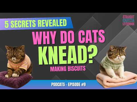 5 Secrets About Cat Kneading (Why Cats Make Biscuits)