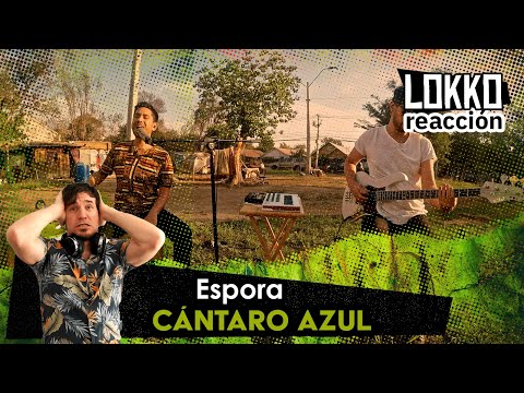 Lokko: Reacción a Espora - Cántaro Azul