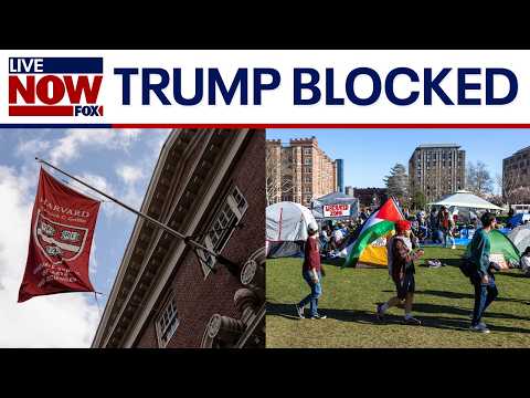 Video | Harvard foreign student ban: Judge blocks Trump administration