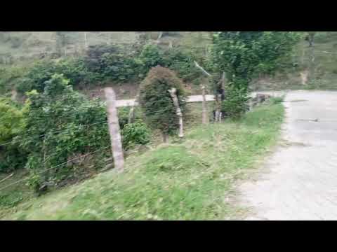 Regresando de "Escaleras" municipio Junín, estado Táchira - Venezuela 