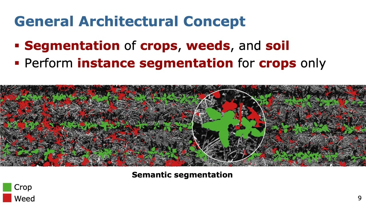 RAL-ICRA'22: Joint Plant and Leaf Instance Segmentation on Field-Scale UAV Imagery by Weyler et al.