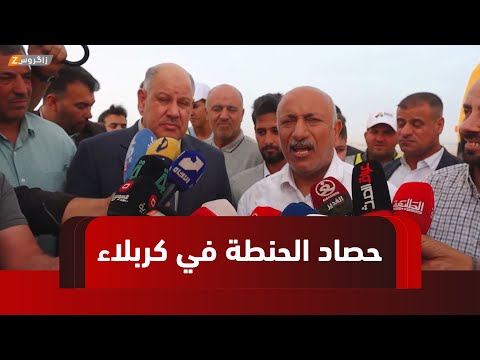 فيديو | كربلاء.. بدء عمليات حصاد محصول الحنطة في الصحراء الغربية للمحافظة وسط توقعات بزيادة الإنتاج