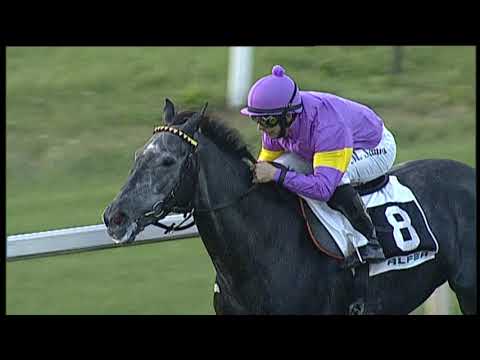 2018-11-01 Corsa 6 Metri 2200 Premio Salvatore Rosa  1^ Batteria "Circuito Stayer"